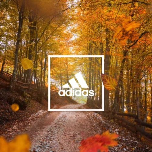 Adidas Autumn Campaign – Seasonal Brand Visual