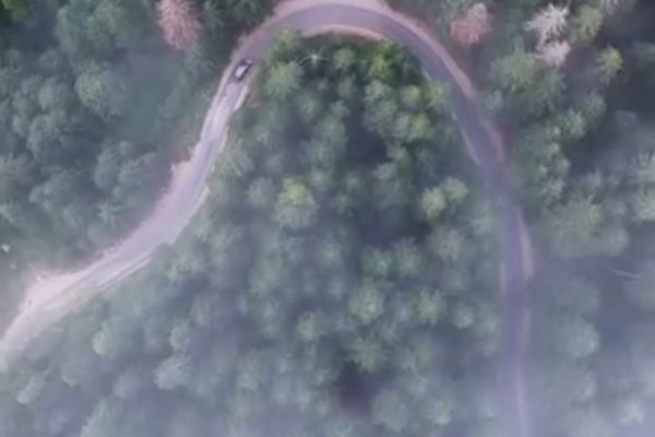 Through the Forests of Ravna Planina